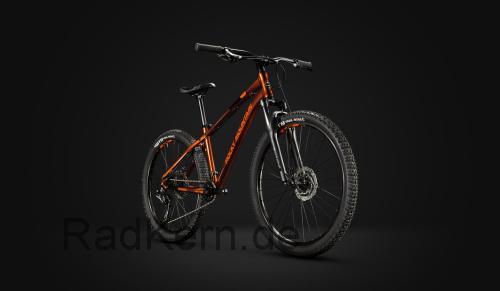 Rocky Mountain Edge  technische daten 